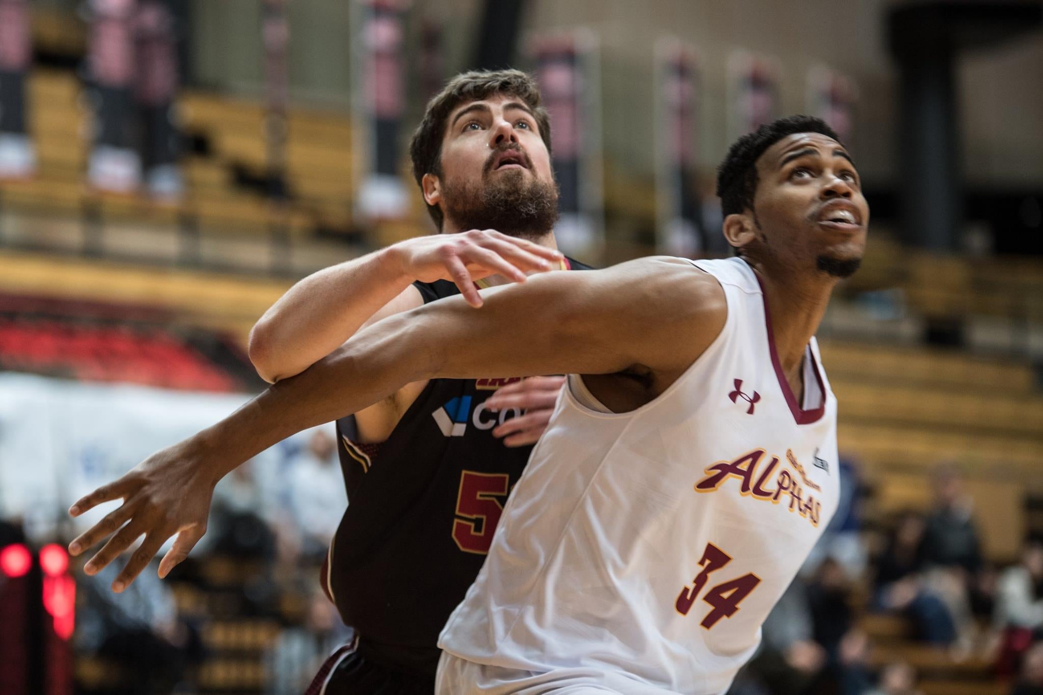 17854973_732447730260541_8579884265041203603_o